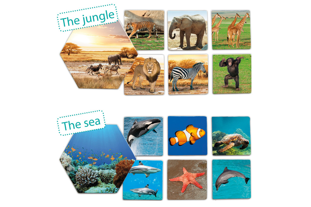 Dove vivono gli animali?