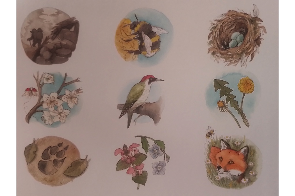 Il segreto del codirosso in CAA