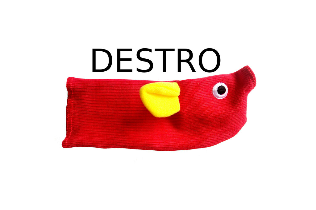 Guanto elefante destro