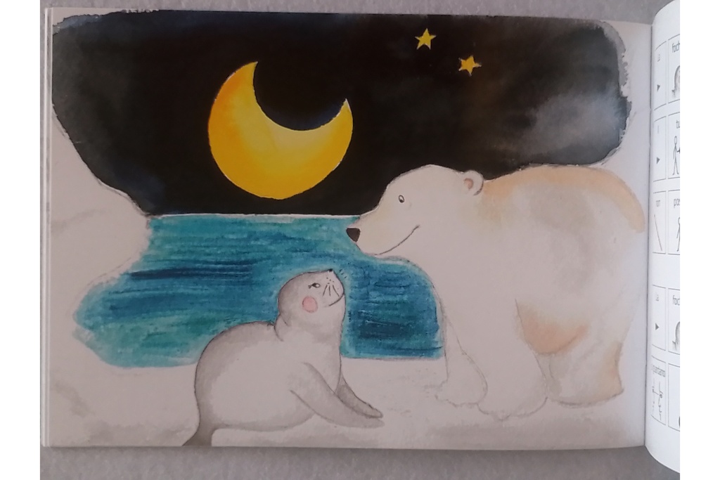 Miracolo tra i ghiacci