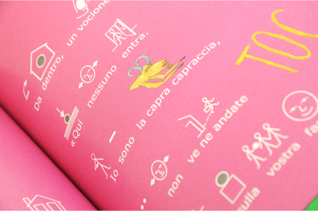 Il piccolo coniglio bianco