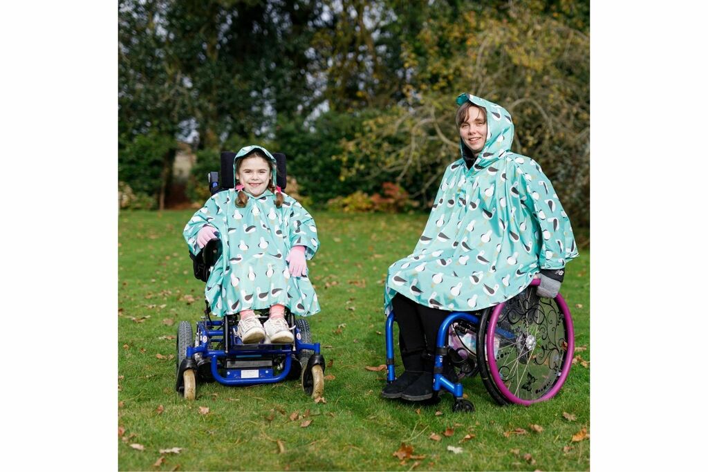 Poncho, gabbiani - adulti